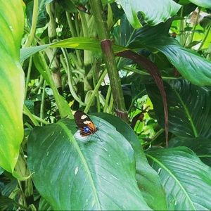 Meet your Posher, Amira